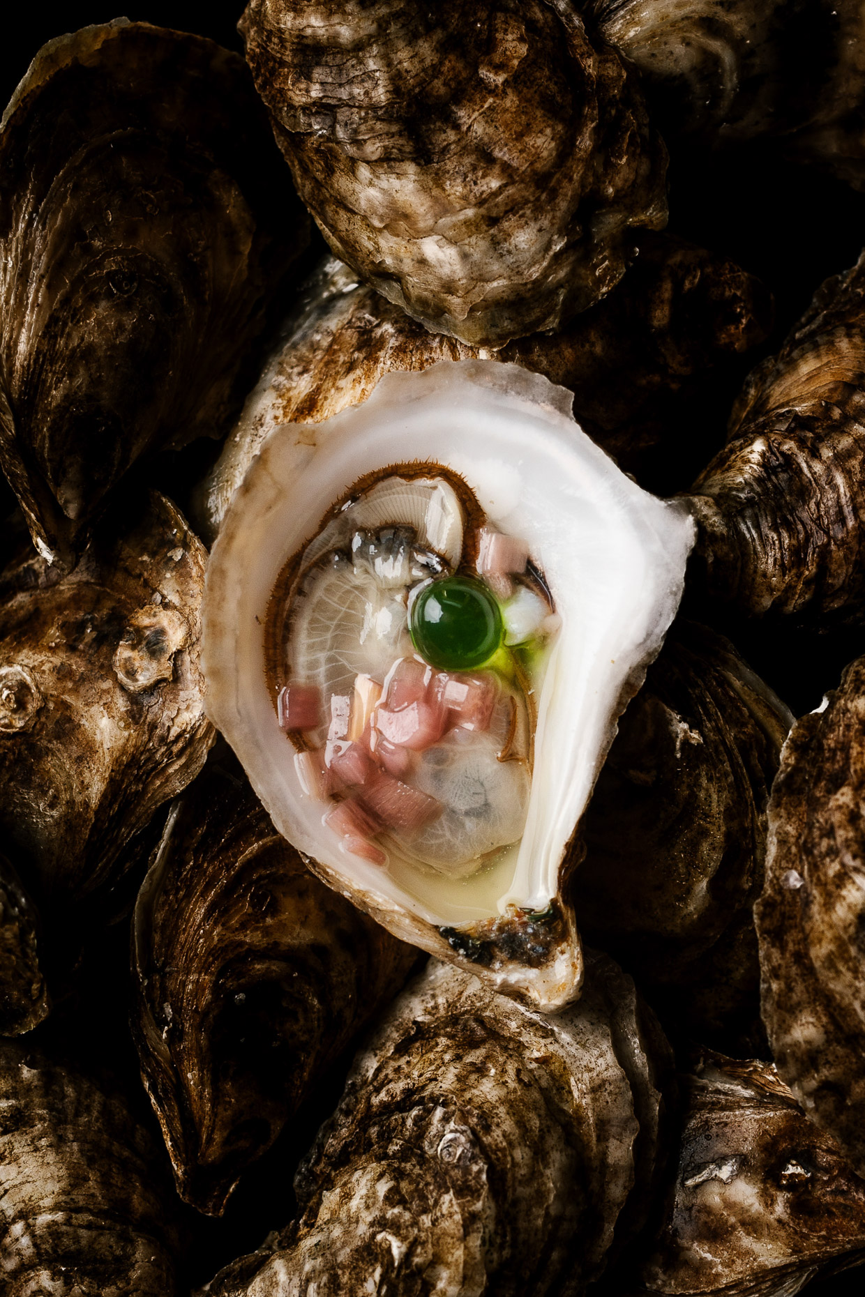 Portfolio_Food-16