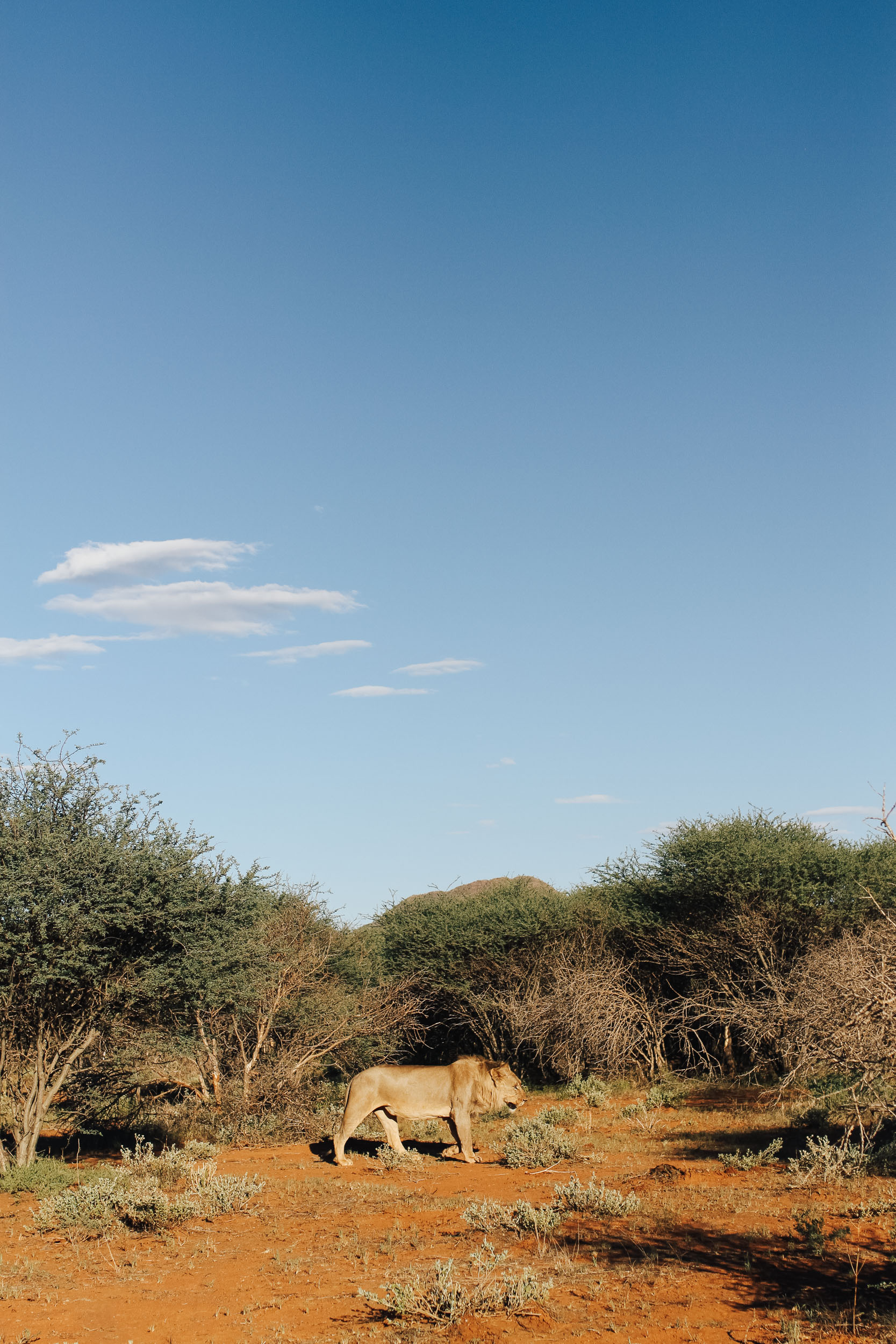 SA_Namibia_Web-41